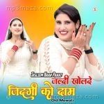 जल्दी खोलदे जिदगी को दाम ओल्ड मेवाती - Star Irfan Bilagya Song Download