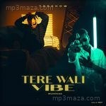 Tere Wali Vibe Teeshow Song Download
