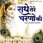 Radhe Tere Charno Ki Sudhanshu Chaudhary Song Download
