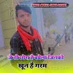 Je to chhora hai baghela jinko khoon hai garam Mohar Singh Baghel Song Download