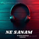 Ne Sanam - Anuj Bali Song Download