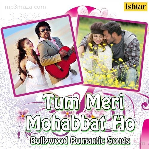 Tum Meri Mohabbat Ho - Bollywood Romantic Songs Alka Yagnik MP3 Download