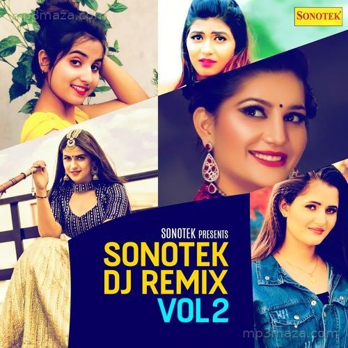 Sonotek (DJ Remix) Vol 2