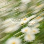 Unstable feelings ZEV Song Download