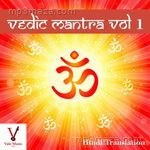 Vedic Mantras, Vol. 1 - Manish Maharaj Song Download