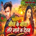 Bigha Ke Bigha Tohare Name K Dehab Pritam Pyare Fanke MP3 Download
