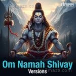 Om Namah Shivay Versions Album Download