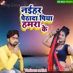 Naihar pethada piya hamara ke - Babita Song Download