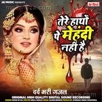 Tere Hatho Pe Mehadi Nahi Hai Mohd. Niyaz Song Download