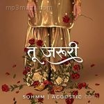 Tu Zaroori (Acoustic) (Instrumental) sohmm MP3 Download