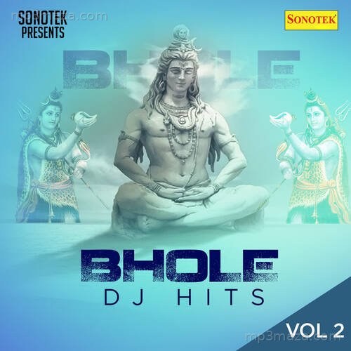 Bhole (DJ Hits) Vol. 2