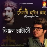 Sonar Horin Chai - Anant Song Download