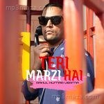 Teri Marzi Hai Rahul Kumar Verma Song Download