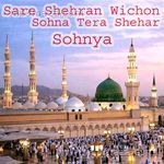 Sare Shehran Wichon Sohna Tera Shehar Album Download