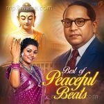 Best of Peaceful Beats Album Download
