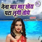 Naina Maar Maar Chora Pata Lungi Toye Pushpendra Tiger Song Download