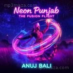 Neon Punjab (The Fusion Flight) - Anuj Bali Song Download