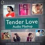 Tender Love Audio Mashup - Rajveer Raja Song Download