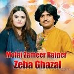 Zaal Murs Jo Jehro Molai Zameer Rajper MP3 Download