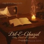Dil-E-Ghazal(Ishq, Dard aur Yaadein) - Anuj Bali Song Download