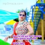 Narsi Ke Aatk Gye Beel Laguriya Sasra Gad Ke Bich Mein Brajkishor Kushwah Song Download