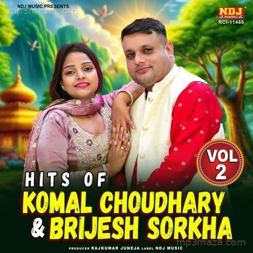 Hits Of Komal Choudhary & Brijesh Sorkha Vol. 2