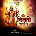 Meri Vinti Sunlo He Ambe - Ashok Babbu Song Download