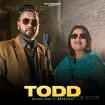 Todd Bhinda Yaar Song Download