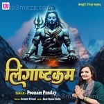 Lingaashtakam Poonam Panday Song Download
