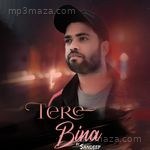 Tere Bina San Deep Song Download