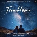 Tera Hona Pali Song Download