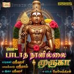 Padatha Nalillai Muruga Album Download