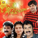Saghi Neeyilathe - Thajudheen Song Download