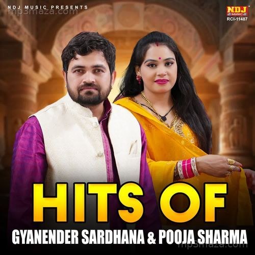 Hits Of Pooja Sharma & Gyanender Sardhana Vol 2