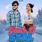 Yado Ki Syal Sunil Kumawat Song Download