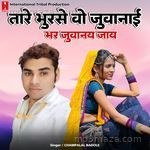 Tare Bhusre Vo Juvanay Bhar Juvaniy Jay Champalal Badole Song Download
