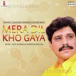 Mera Dil Kho Gaya - Dilshad Akhtar Song Download