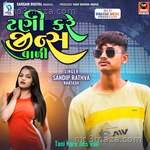 Tani Kare Jins Vali - Sandip Rathva Khatash Song Download