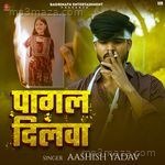 Pagal Dilwa Aashish Yadav MP3 Download