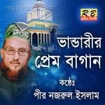Bhandarir Prem Bagane - Pir Nojrul Islam Song Download